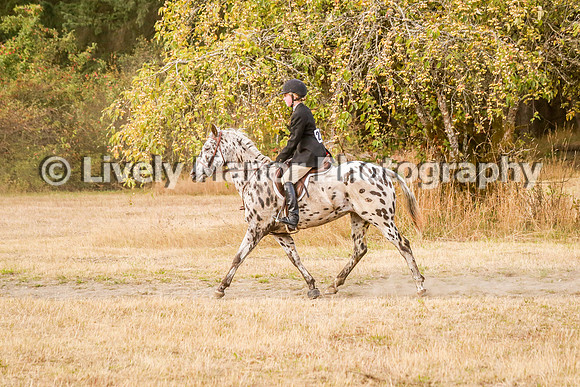 220Jordan_0178