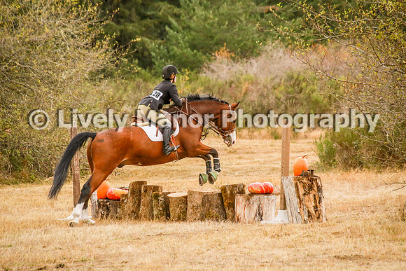 228Lindsey_0709