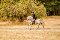 220Jordan_0236