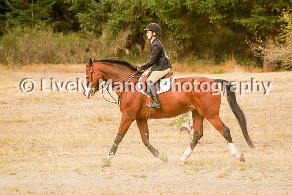 228Lindsey_0381