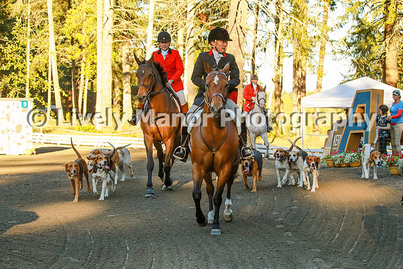 WHCparade_8251