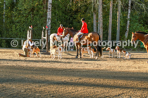 WHCparade_8282