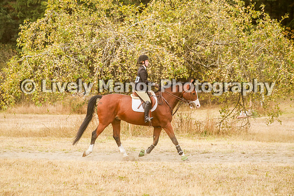 228Lindsey_0392
