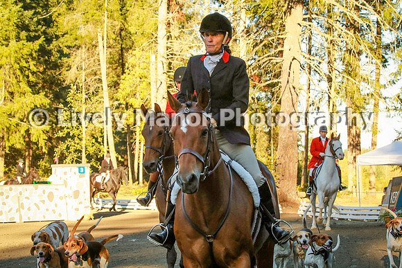 WHCparade_8252
