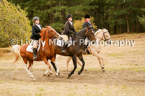 Williamson_1080