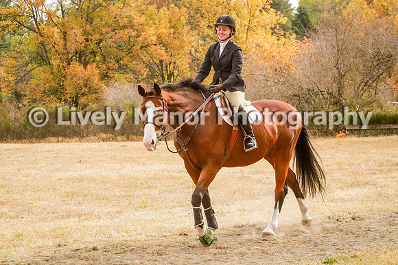 228Lindsey_0345