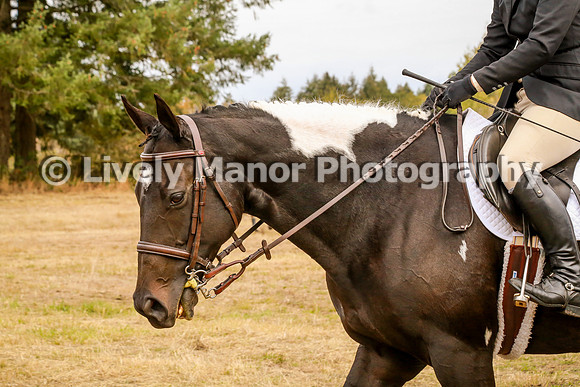 336Jackie_0924