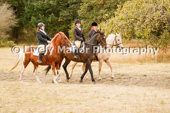 Williamson_1014
