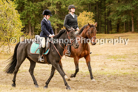 Forrester_1029