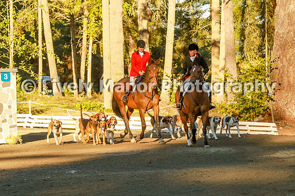 WHCparade_8249
