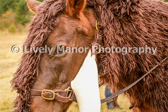 218Jeddie_0790