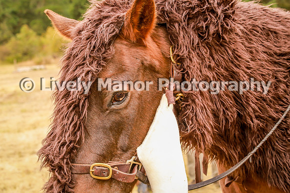 218Jeddie_0789