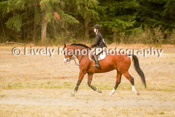 228Lindsey_0383