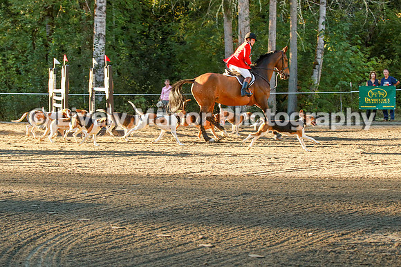 WHCparade_8297