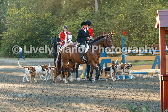 WHCparade_8240