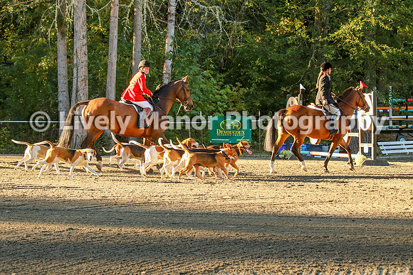 WHCparade_8242