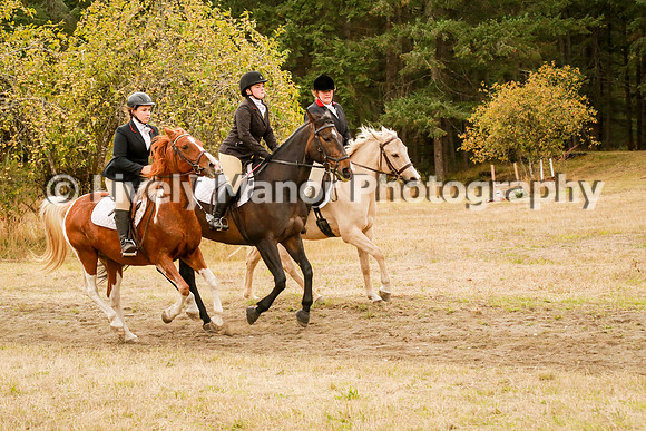 Williamson_1078
