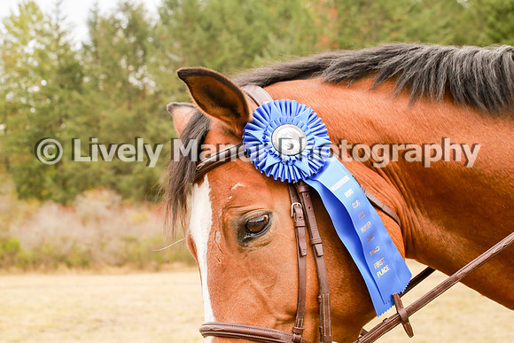 Tami&Bo_1147