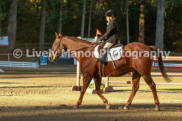 WHCparade_8235