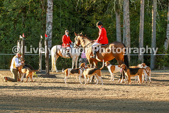 WHCparade_8277