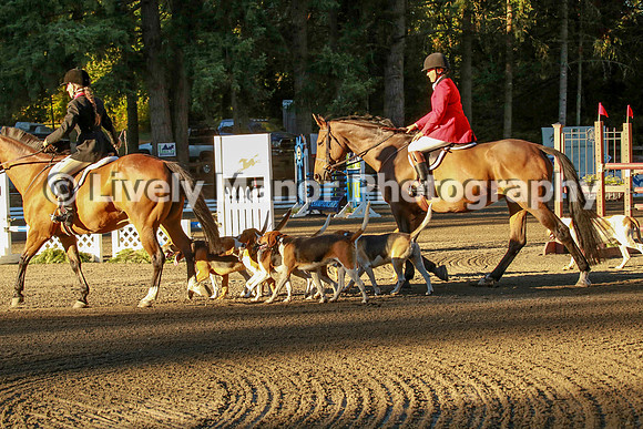 WHCparade_8230