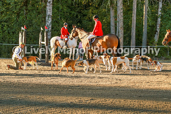 WHCparade_8280