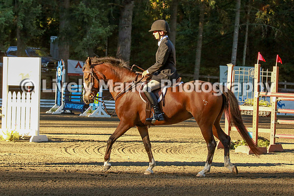WHCparade_8236