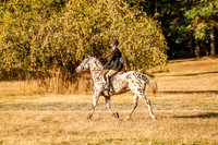 220Jordan_0060