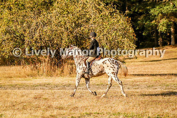 220Jordan_0060