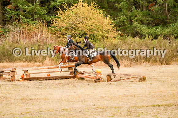 P-Williamson_1175